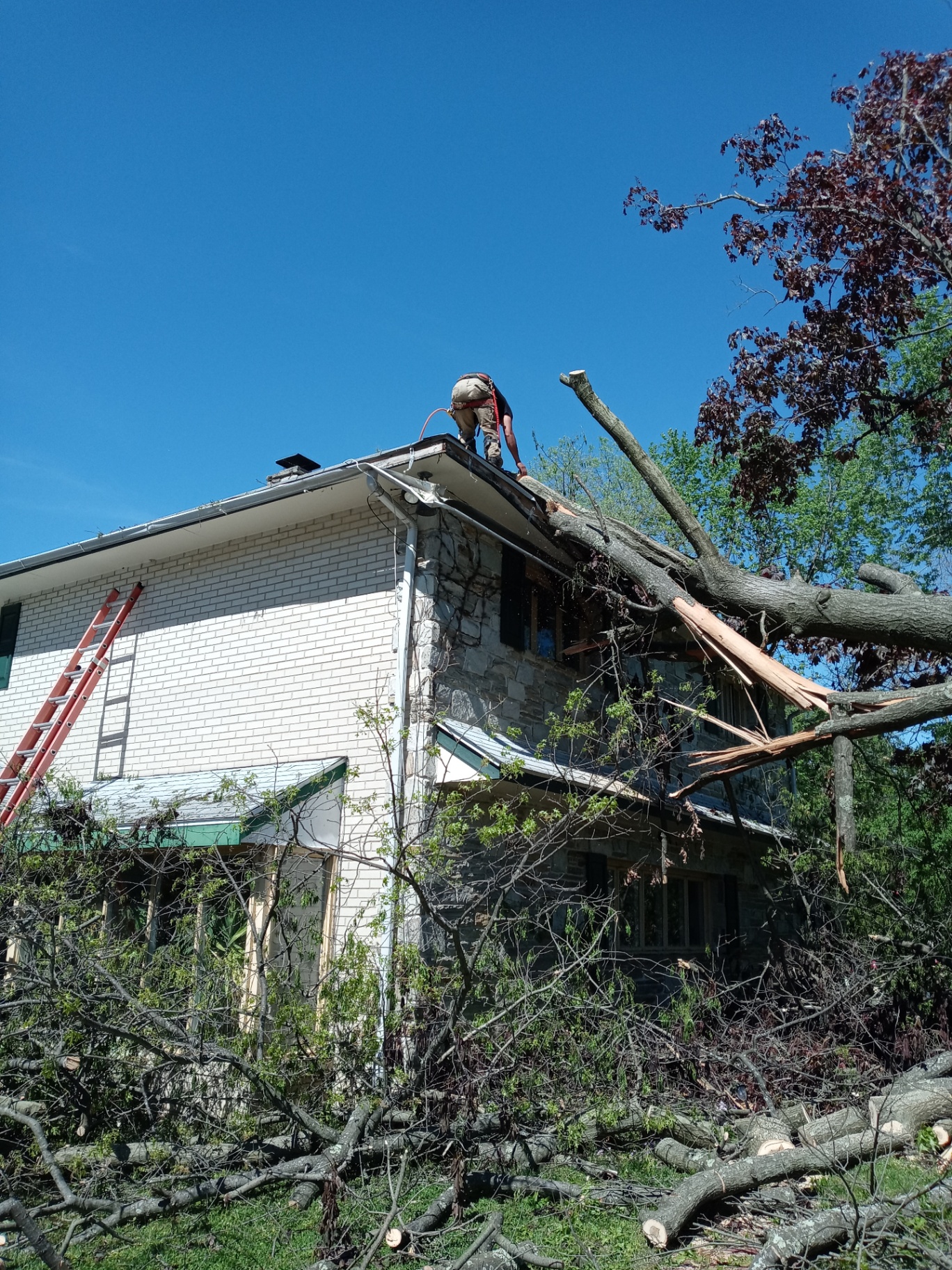 Before — Storm Damage Cleanup — Voorhees